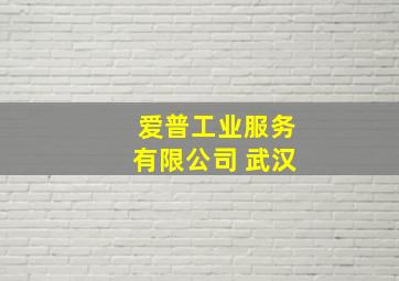 爱普工业服务有限公司 武汉